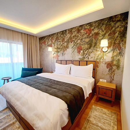 Pensiunea Leonida - Resort Leonida Poiana Tapului Extérieur photo